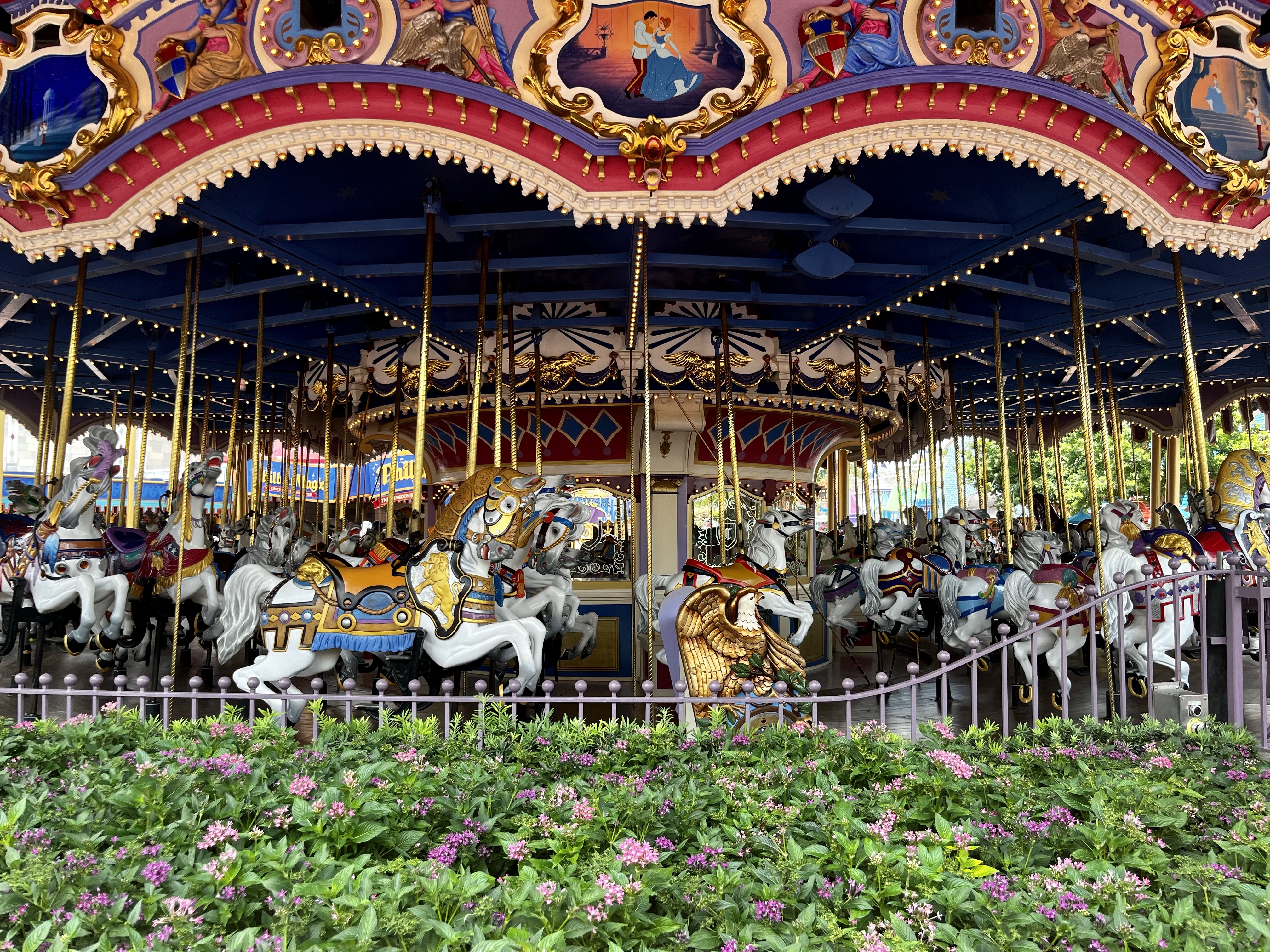 Magic Kingdom carousel
