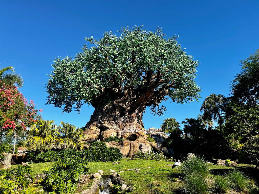 Tree of Life in Disney's Animal Kingdom