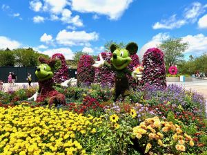 Spring flowers in EPCOT