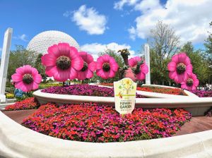 EPCOT Flower and Garden Festival in April