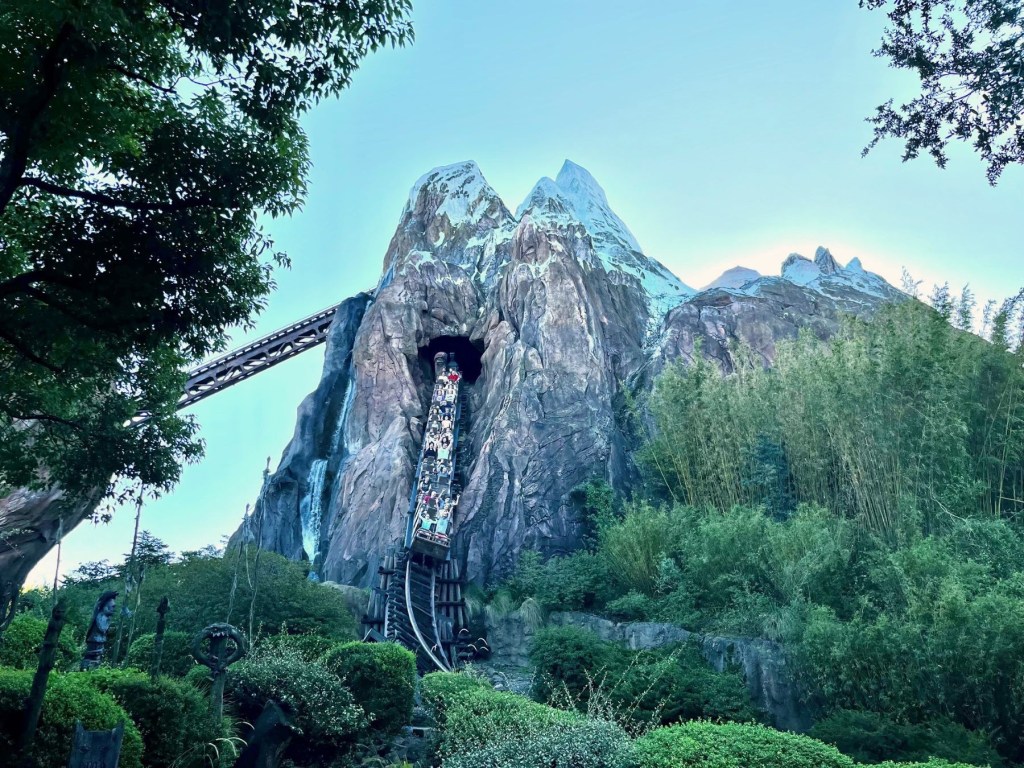 Best rides at Animal Kingdom for&nbsp;adults